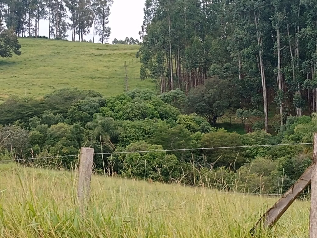 Small farm of 150 acres in Capão Bonito, SP, Brazil