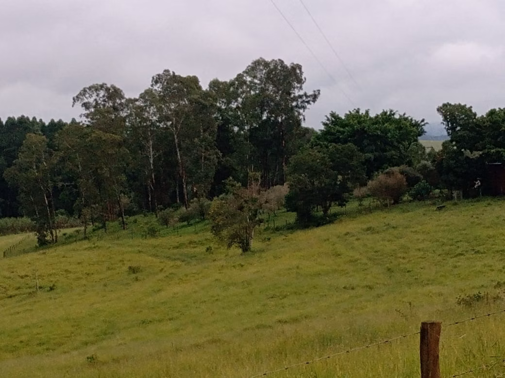 Small farm of 150 acres in Capão Bonito, SP, Brazil