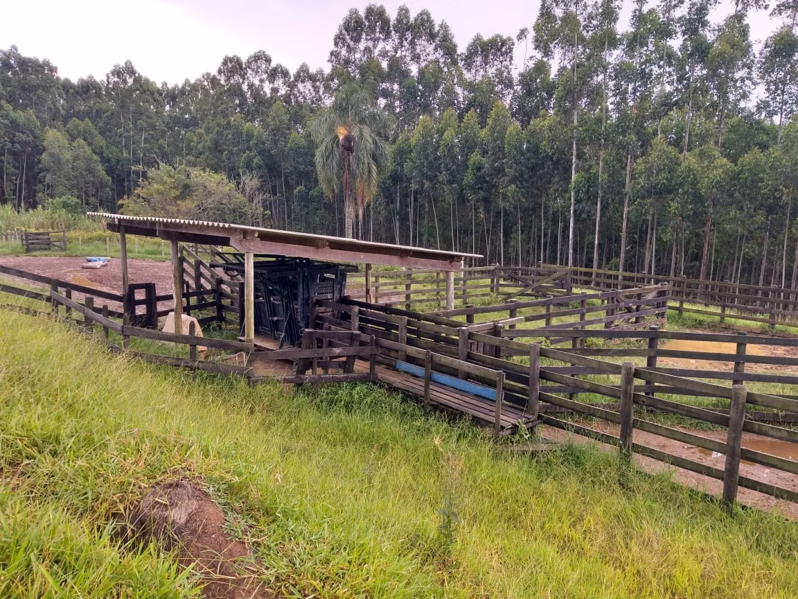Sítio de 61 ha em Capão Bonito, SP