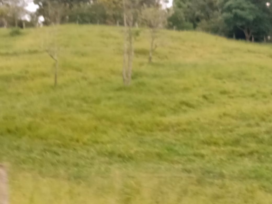 Small farm of 150 acres in Capão Bonito, SP, Brazil