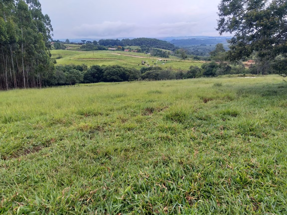 Small farm of 150 acres in Capão Bonito, SP, Brazil