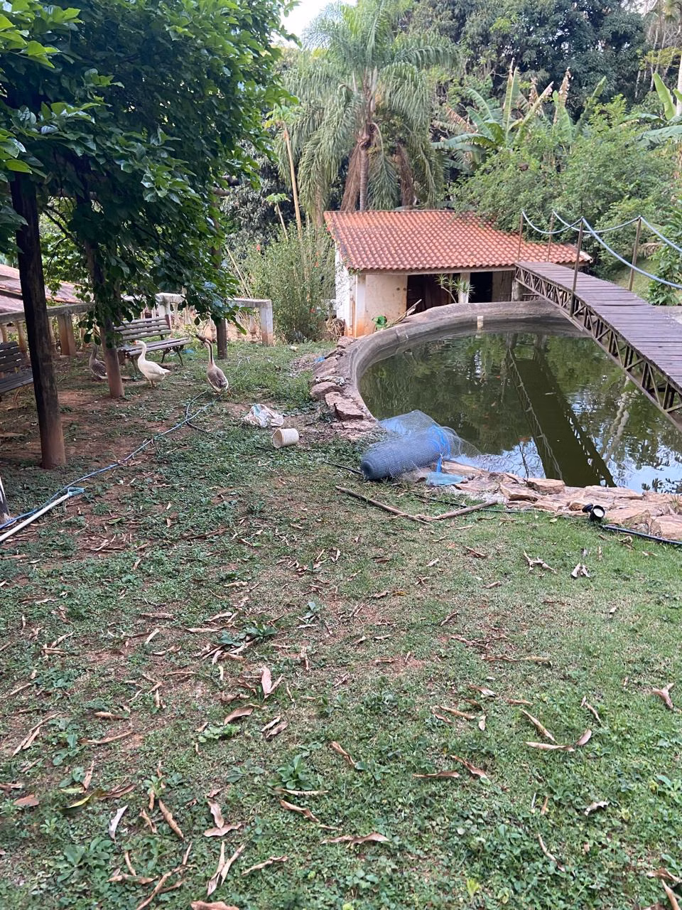 Chácara de 2 ha em Monteiro Lobato, SP