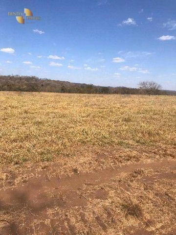 Fazenda de 580 ha em Nobres, MT