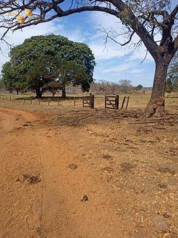 Fazenda de 580 ha em Nobres, MT