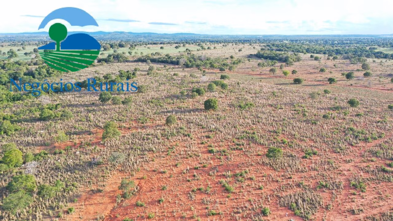 Fazenda de 484 ha em Porangatu, GO