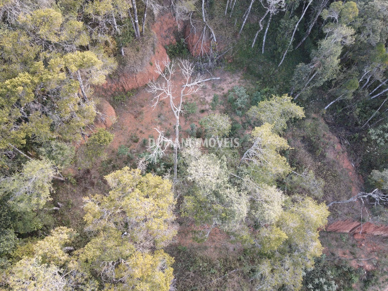 Terreno de 1.010 m² em Campos do Jordão, SP