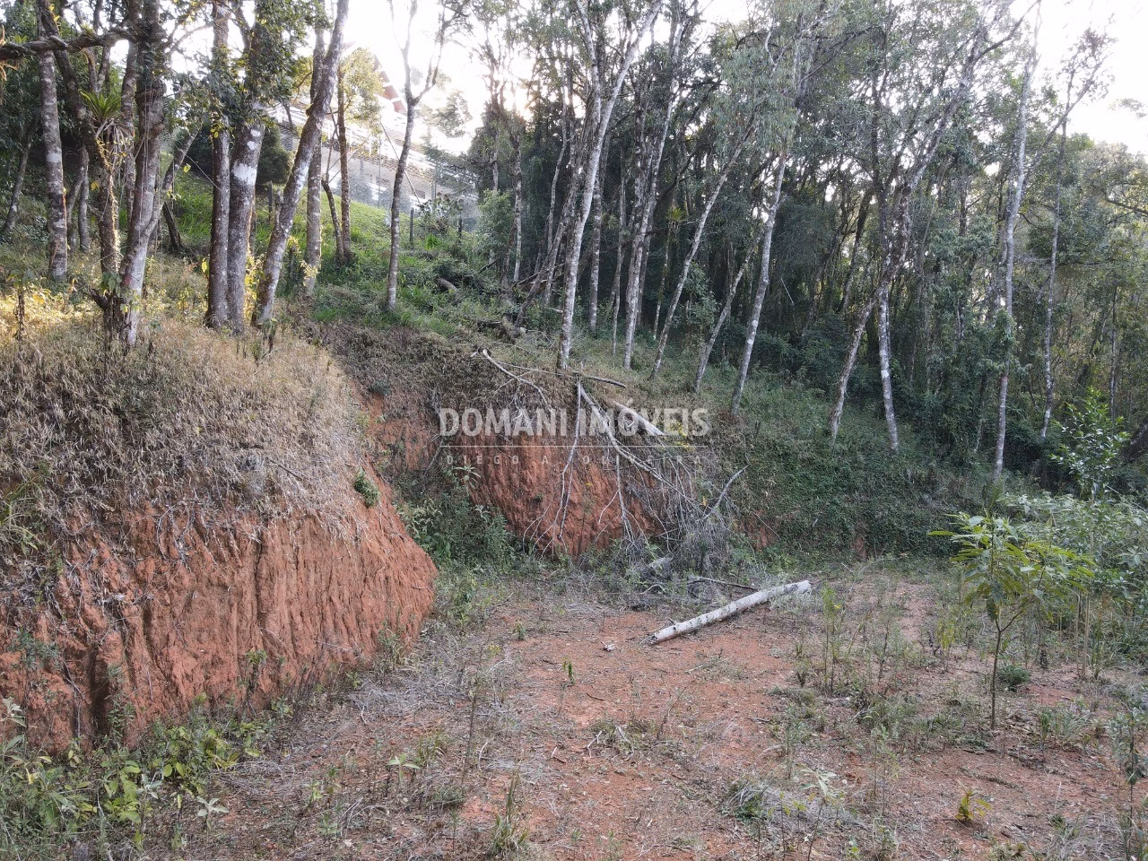 Terreno de 1.010 m² em Campos do Jordão, SP