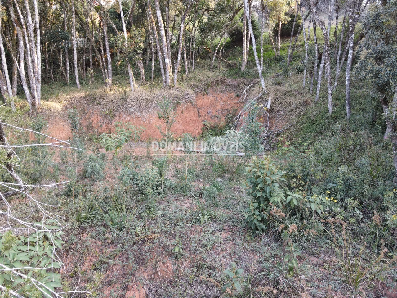 Terreno de 1.010 m² em Campos do Jordão, SP