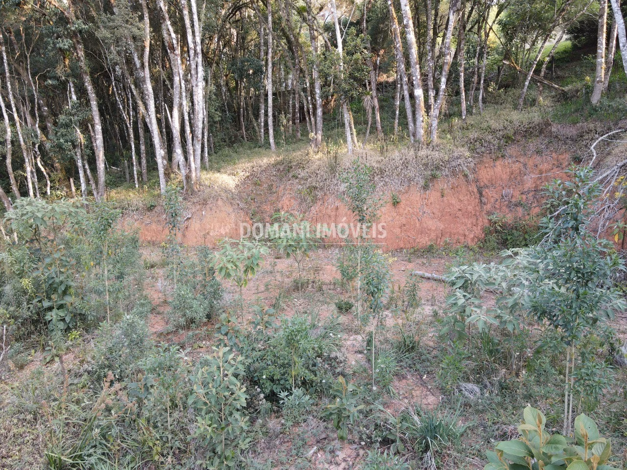 Terreno de 1.010 m² em Campos do Jordão, SP