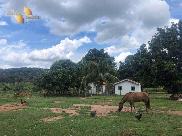 Fazenda de 4.890 ha em Santo Antônio de Leverger, MT