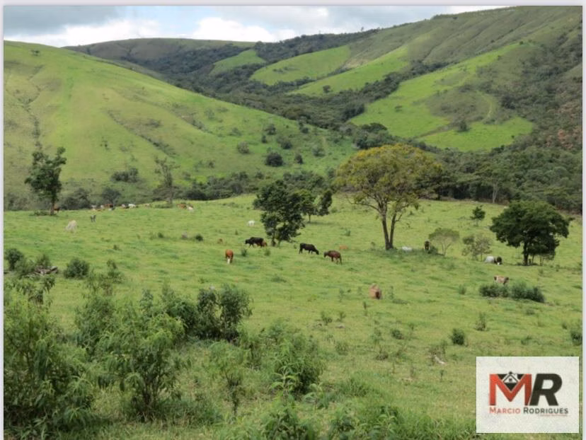 Fazenda de 1.238 ha em Guapé, MG