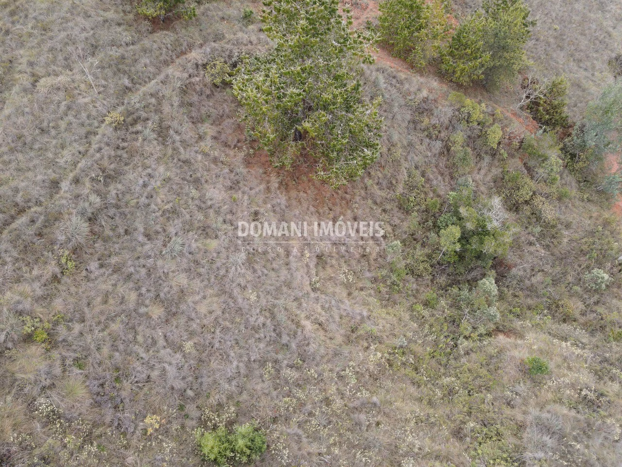 Plot of 1.800 m² in Campos do Jordão, SP, Brazil