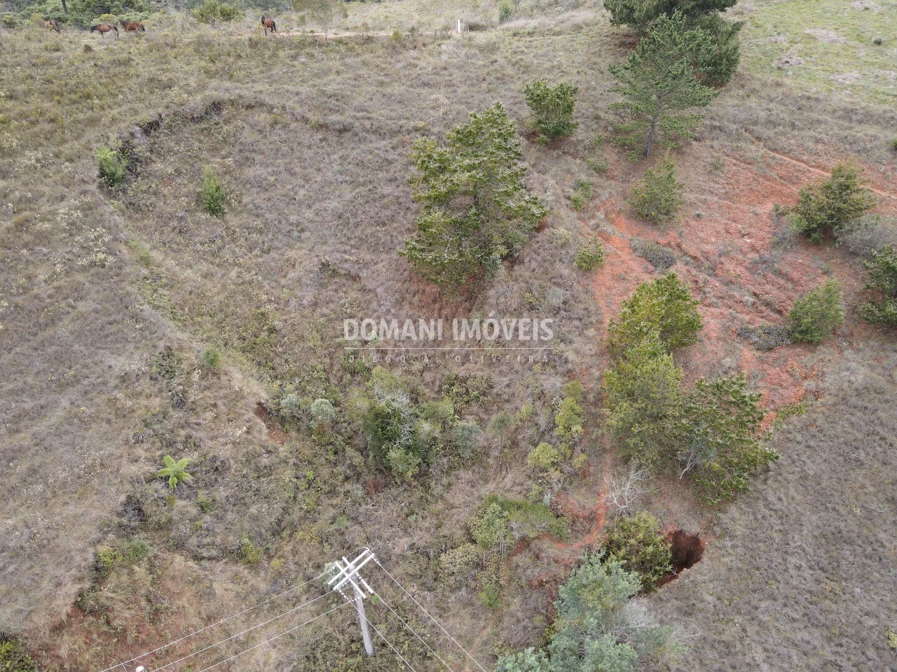 Plot of 1.800 m² in Campos do Jordão, SP, Brazil