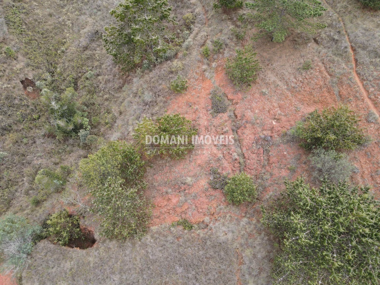Terreno de 1.800 m² em Campos do Jordão, SP