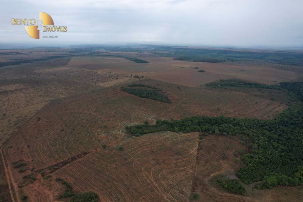 Fazenda de 4.700 ha em Novo São Joaquim, MT