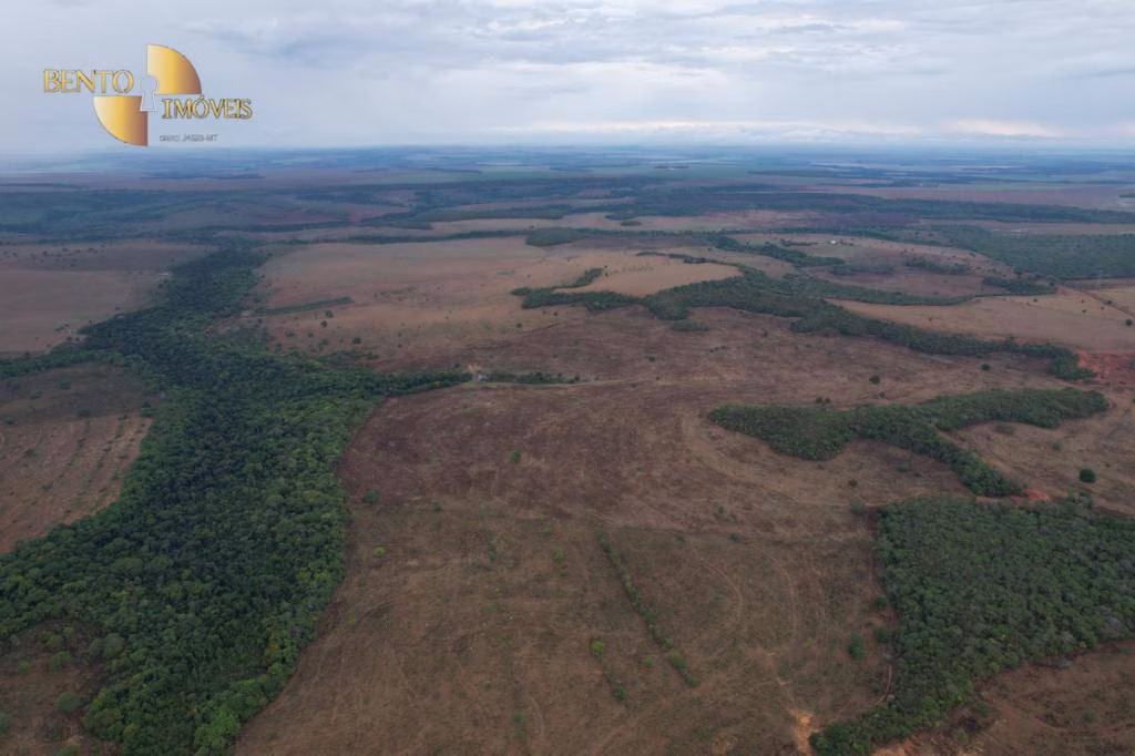 Fazenda de 4.700 ha em Novo São Joaquim, MT