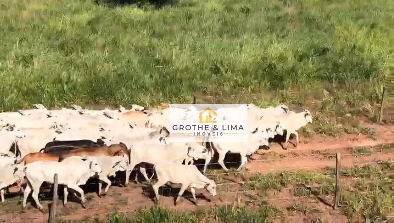 Fazenda de 711 ha em Araguaína, TO