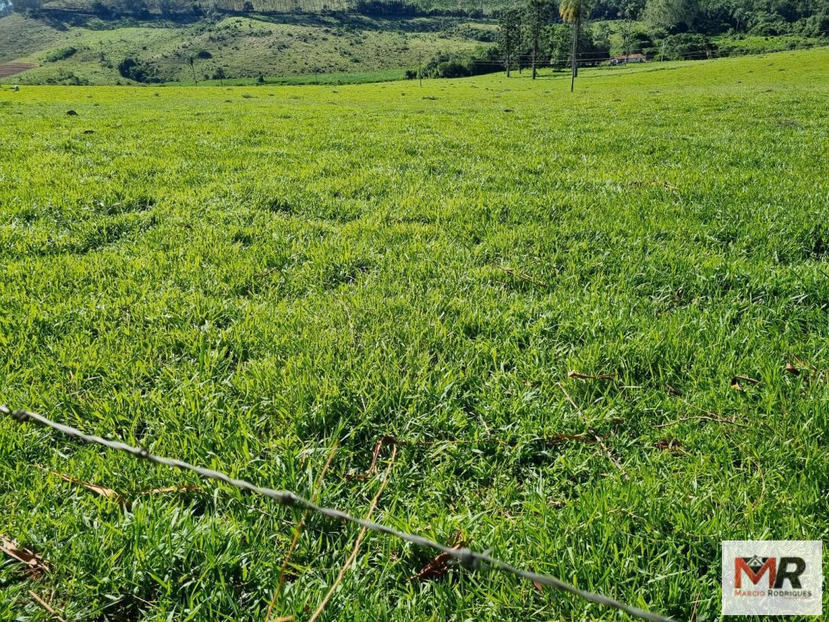 Fazenda de 380 ha em Poços de Caldas, MG