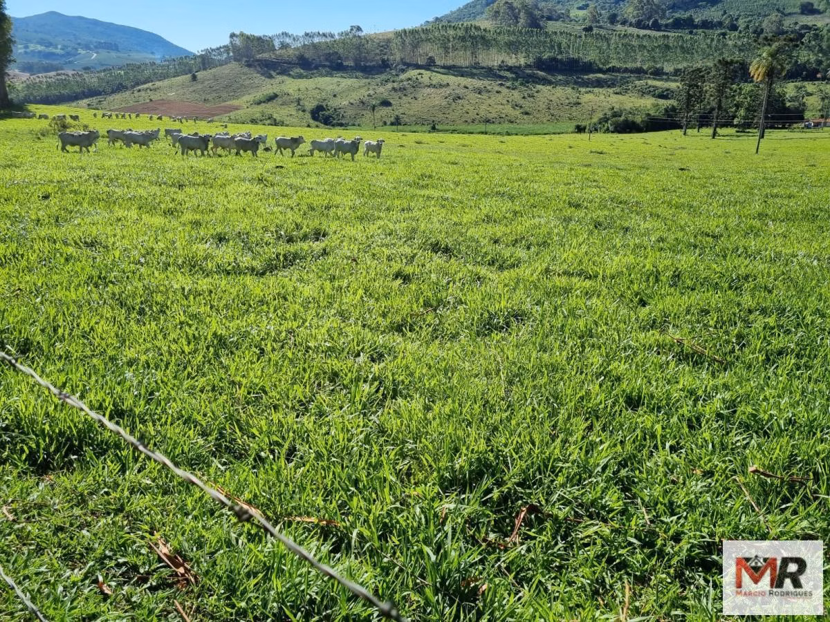 Fazenda de 380 ha em Poços de Caldas, MG