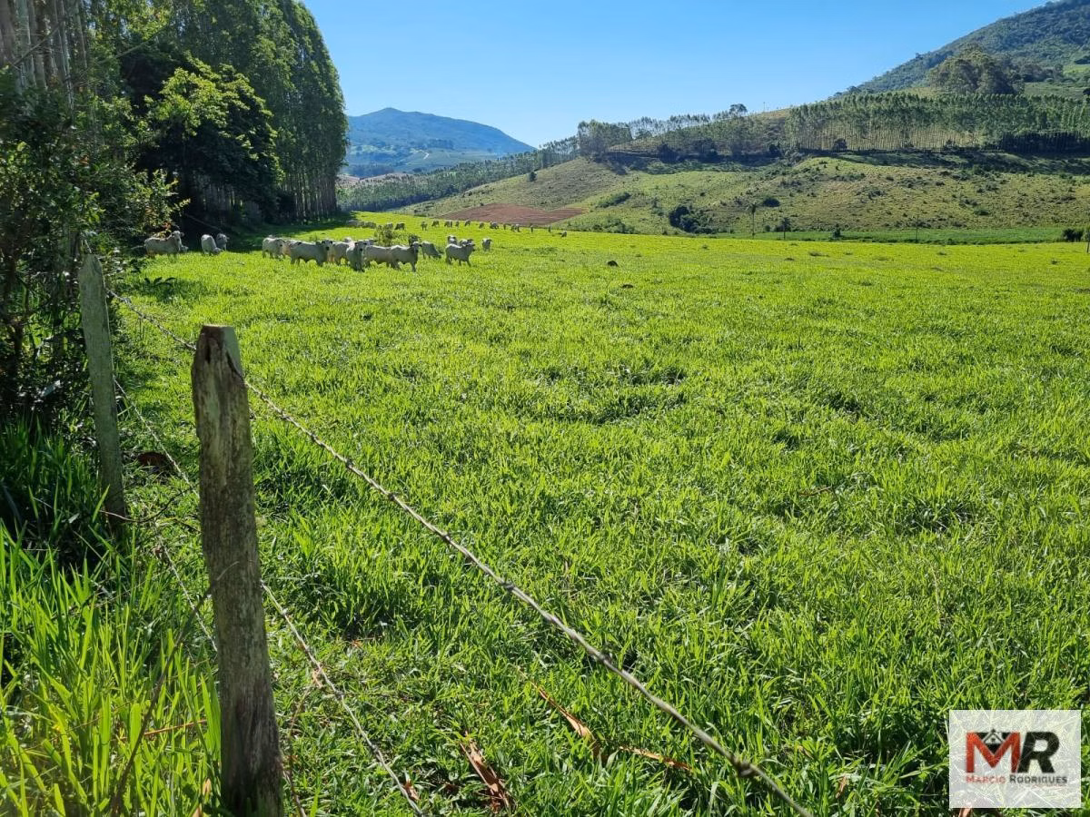 Fazenda de 380 ha em Poços de Caldas, MG