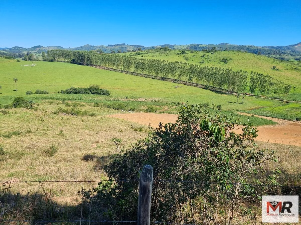 Farm of 939 acres in Poços de Caldas, MG, Brazil