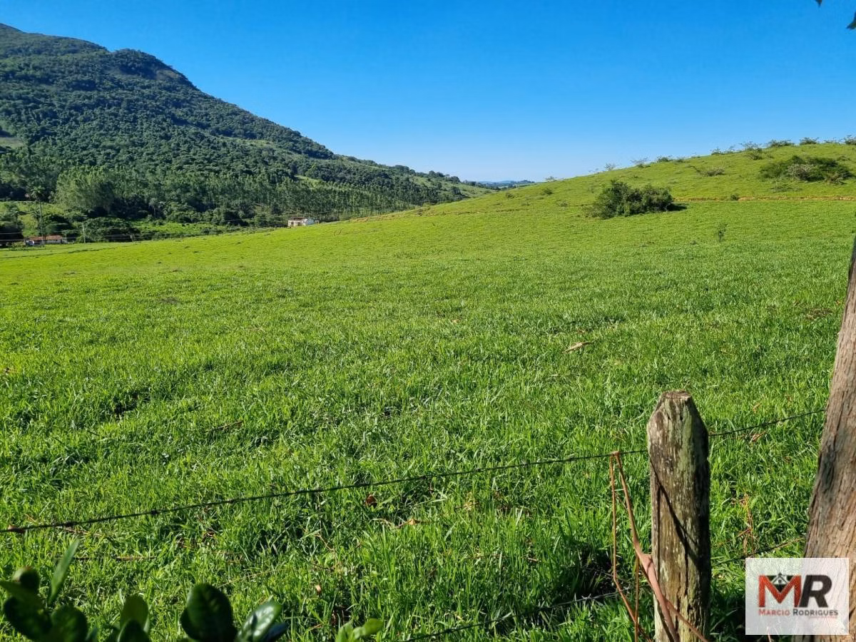 Farm of 939 acres in Poços de Caldas, MG, Brazil
