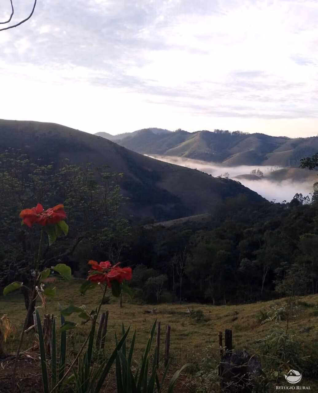 Plot of 15 acres in São José dos Campos, SP, Brazil