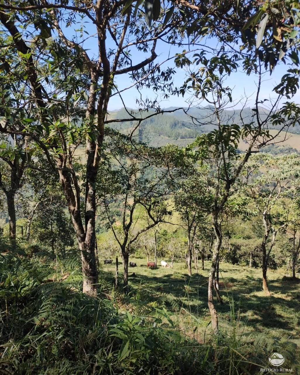 Plot of 15 acres in São José dos Campos, SP, Brazil