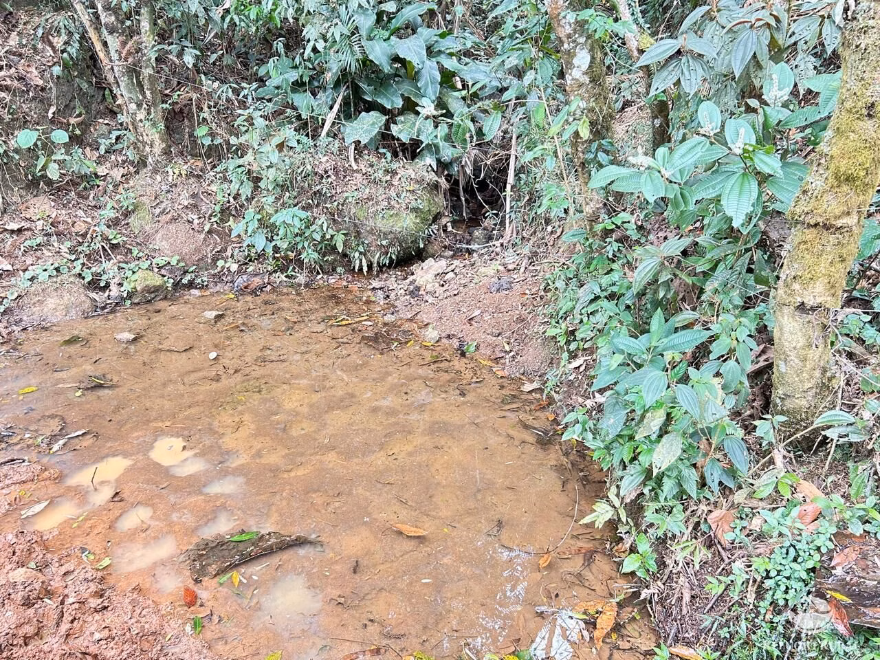 Plot of 15 acres in São José dos Campos, SP, Brazil
