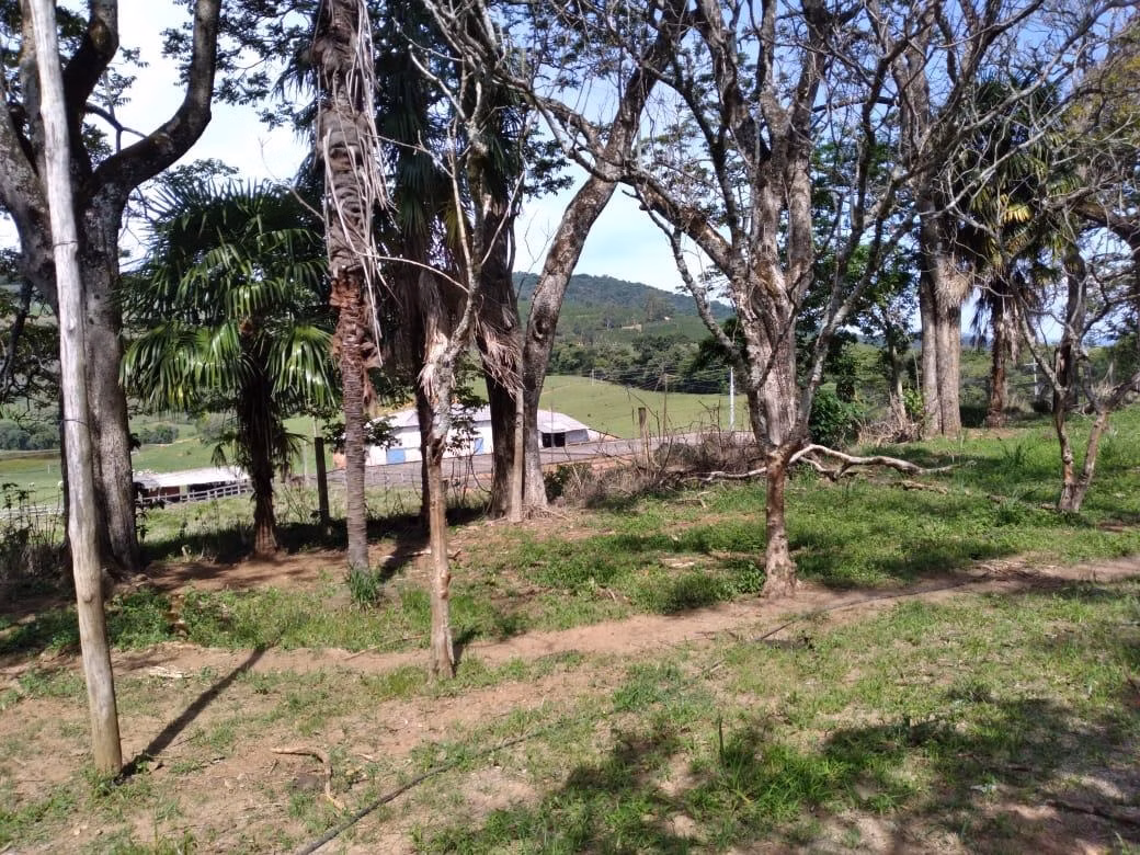 Fazenda de 249 ha em Caconde, SP