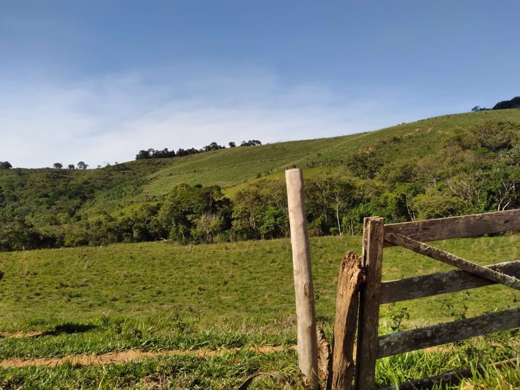 Fazenda de 249 ha em Caconde, SP