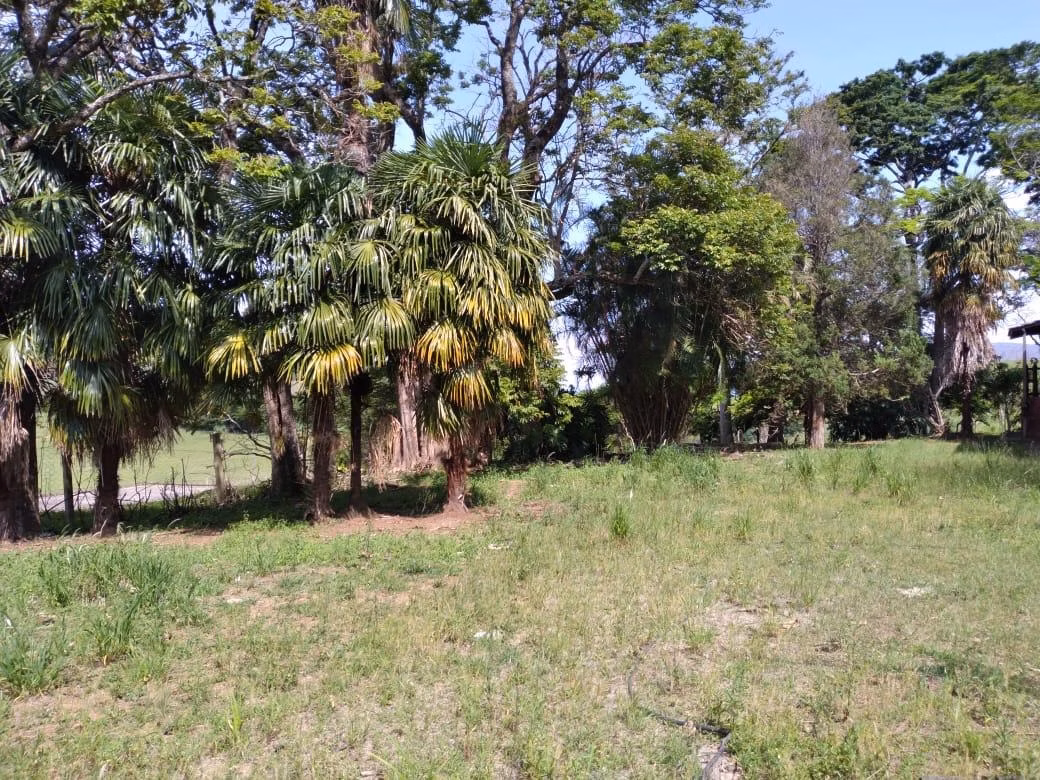Fazenda de 249 ha em Caconde, SP