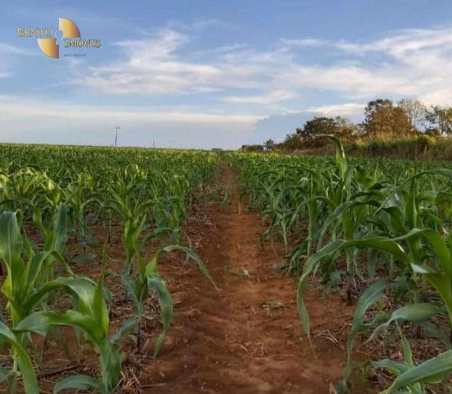 Farm of 3.610 acres in Cuiabá, MT, Brazil