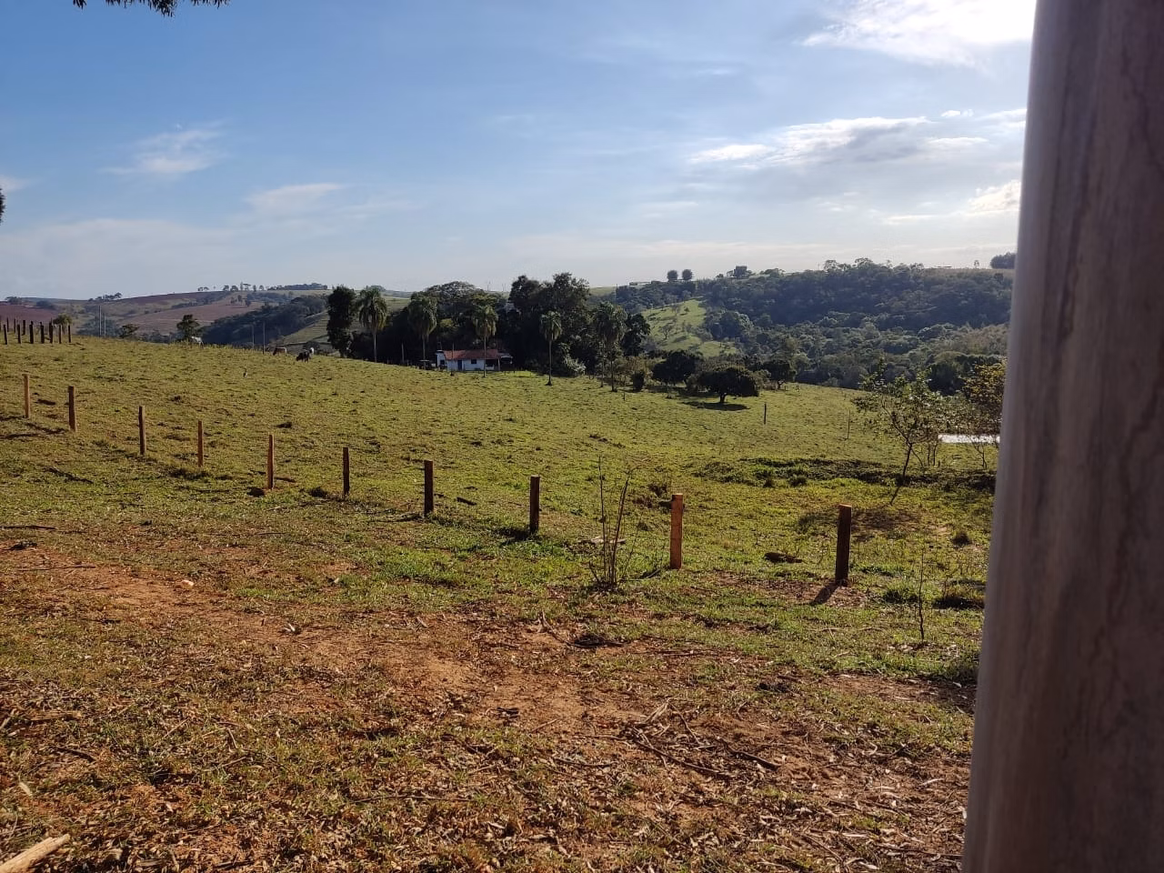 Small farm of 87 acres in Itapetininga, SP, Brazil