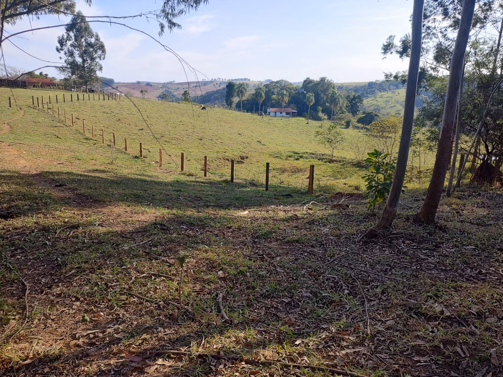 Small farm of 87 acres in Itapetininga, SP, Brazil