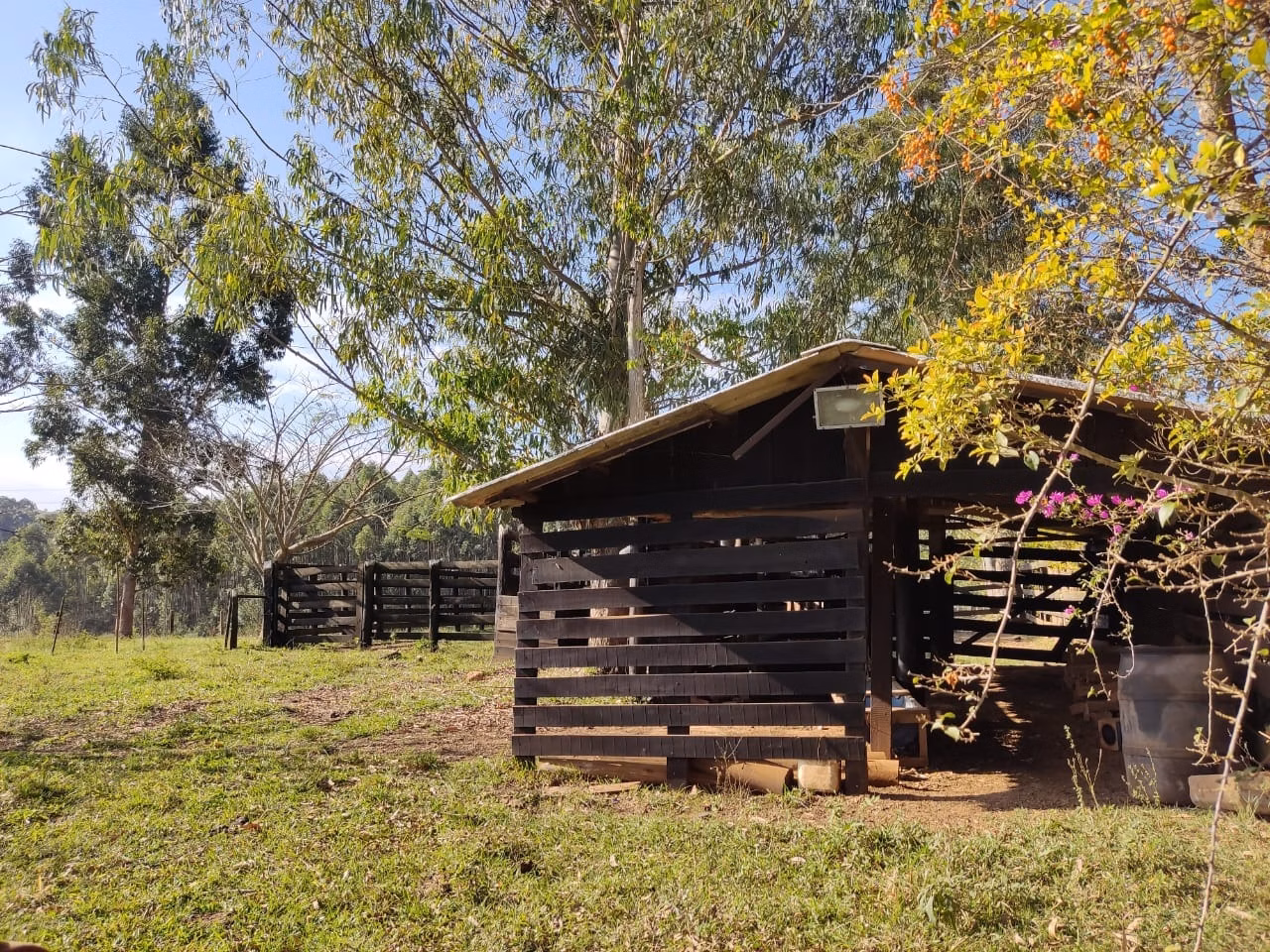 Small farm of 87 acres in Itapetininga, SP, Brazil