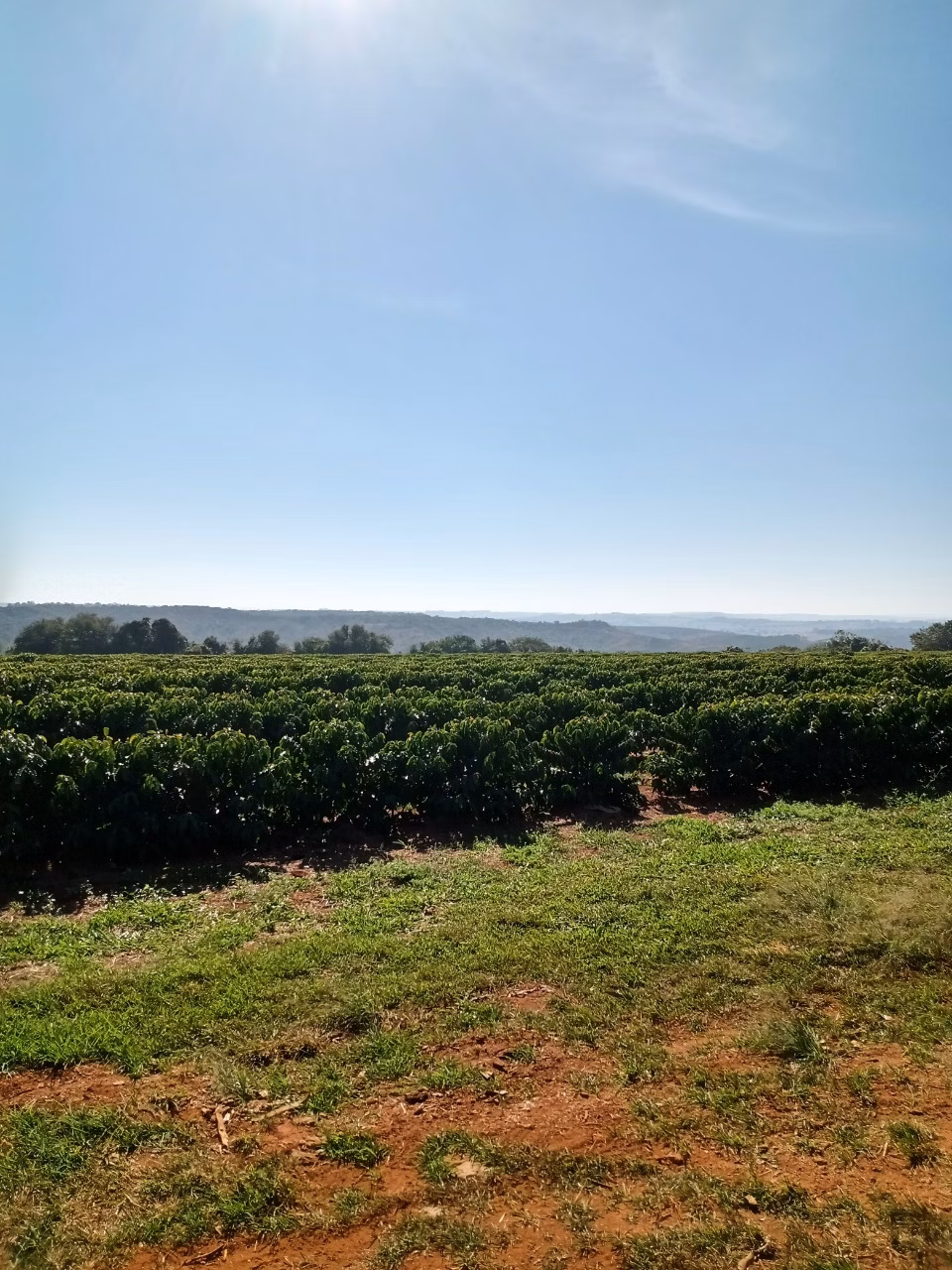 Fazenda de 1.333 ha em Piumhi, MG