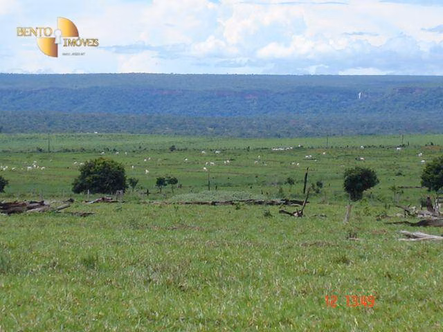 Fazenda de 8.645 ha em Tangará da Serra, MT