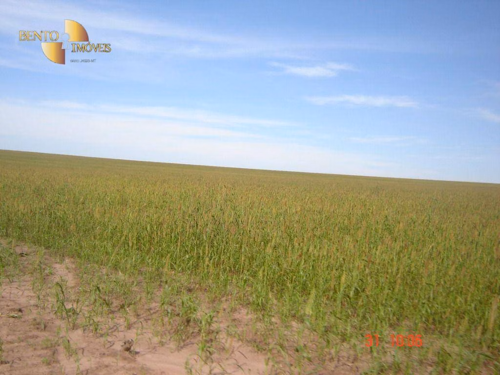 Fazenda de 8.645 ha em Tangará da Serra, MT