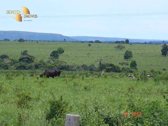 Fazenda de 8.645 ha em Tangará da Serra, MT