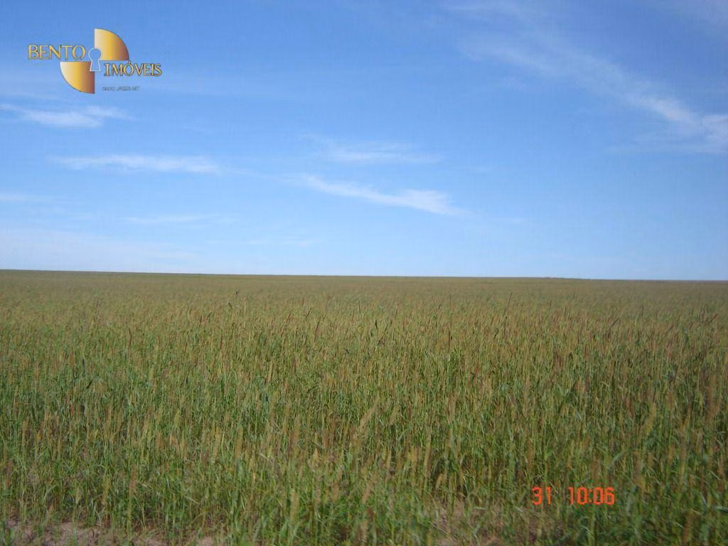 Fazenda de 8.645 ha em Tangará da Serra, MT