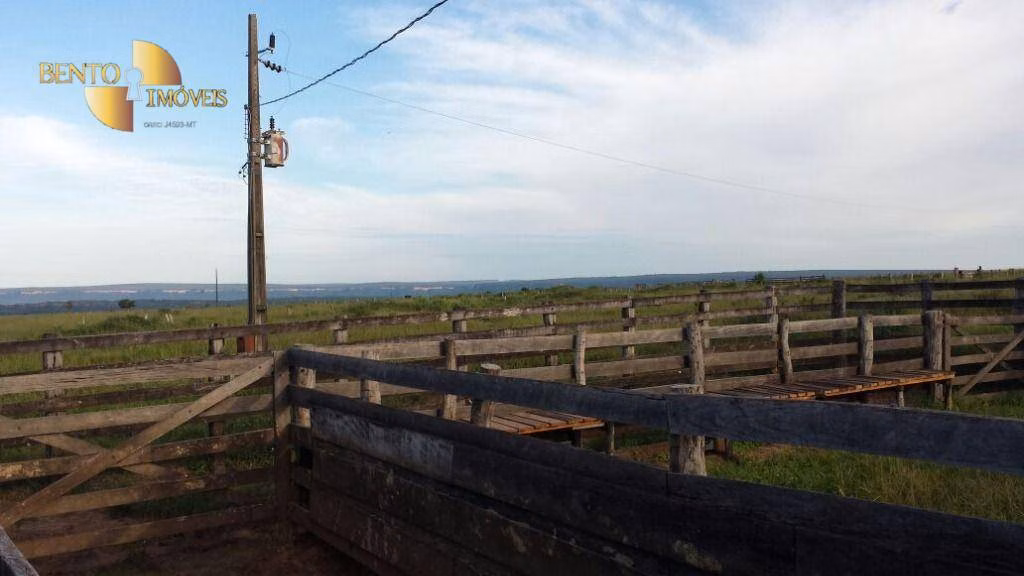 Fazenda de 8.645 ha em Tangará da Serra, MT