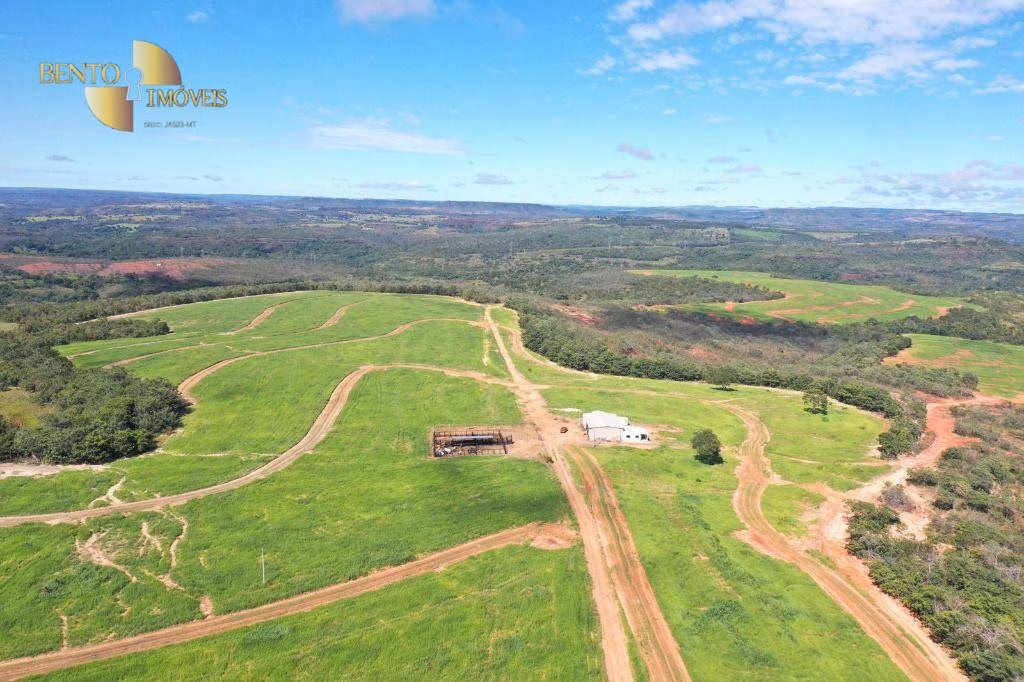 Fazenda de 380 ha em Guiratinga, MT