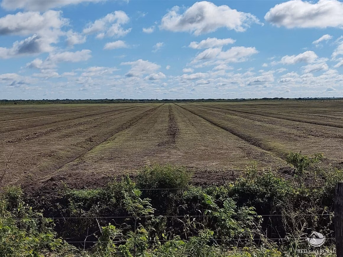 Farm of 12,973 acres in Miranda, MS, Brazil