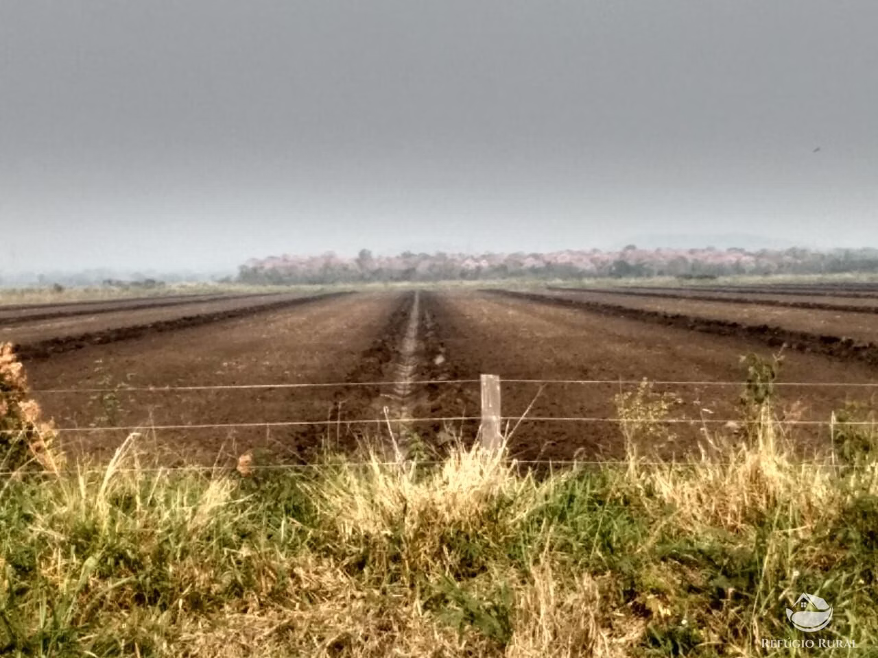 Farm of 12,973 acres in Miranda, MS, Brazil