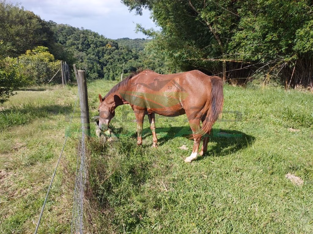 Small farm of 45 acres in Itapetininga, SP, Brazil