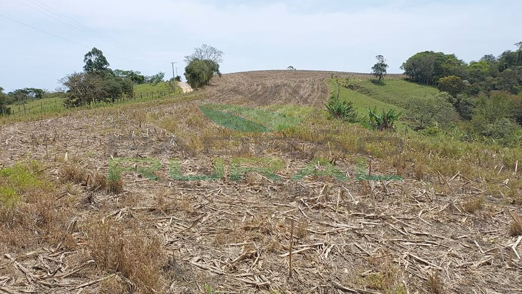 Small farm of 45 acres in Itapetininga, SP, Brazil