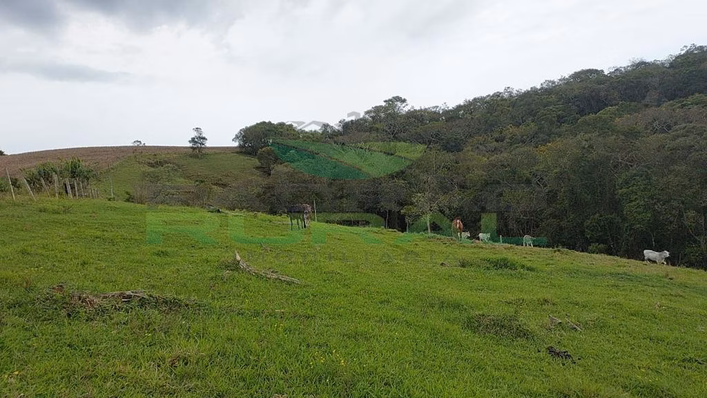 Small farm of 45 acres in Itapetininga, SP, Brazil