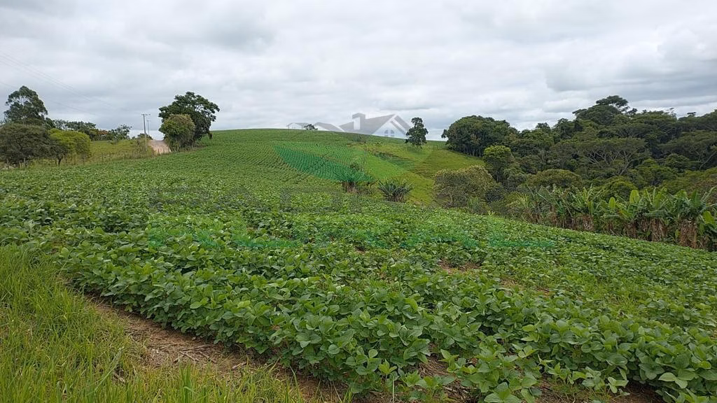 Small farm of 45 acres in Itapetininga, SP, Brazil