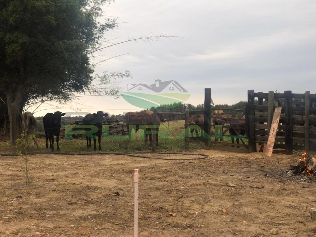 Small farm of 45 acres in Itapetininga, SP, Brazil